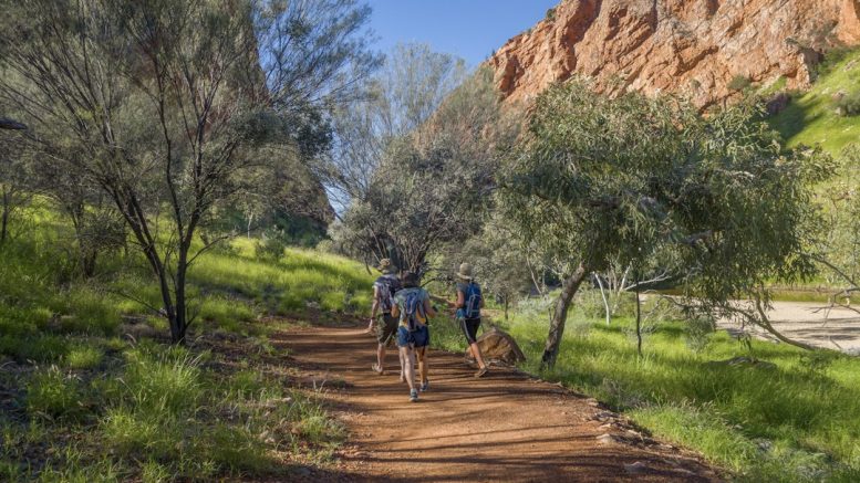Trek dans le Grand Sud calédonien : chaussures de trail ou montantes ?